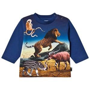 Molo Wild Future Enovan T-Shirt 68 cm (4-6 Months) - Tops - 68 cm (4-6 Months) - Blue