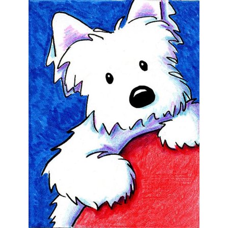 30x40cm 5D DIY timanttimaalaus täydellinen, eläinten koristeellinen maalaus S