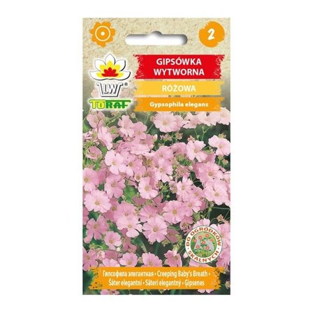 Pink sommerliljefrø - Let og luftig blomstring til blomsterbede og buketter