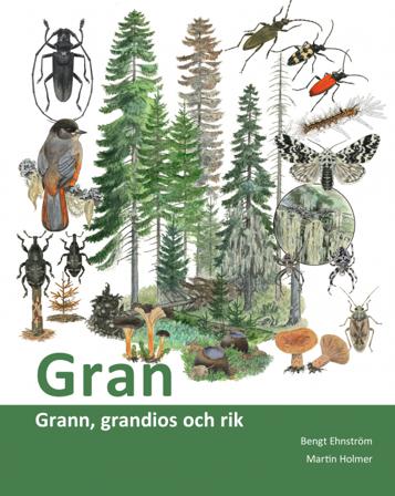 Gran : grann, grandios och rik - Bok av Bengt Ehnström - Danskt band