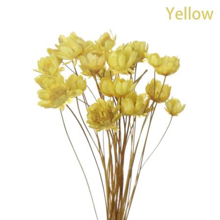 30 Kpl Koristeellisia Kuivattuja Kukkia Mini Daisy Keltainen