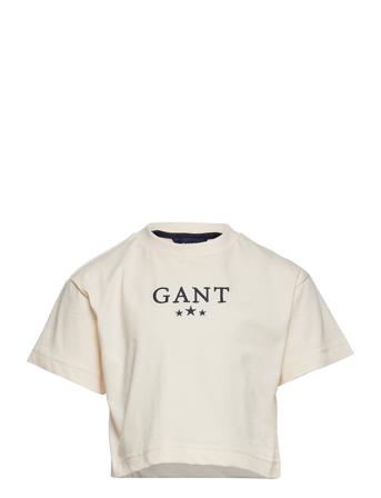 D1. Stars Ss T-Shirt Cream GANT