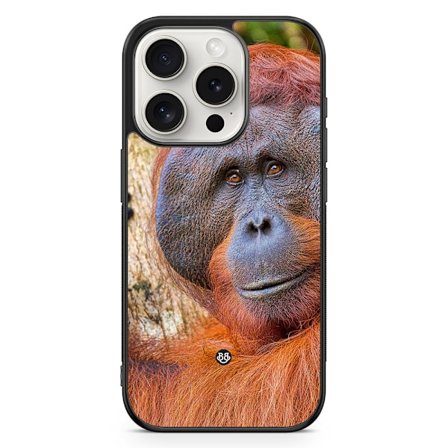 Bjornberry Skal iPhone 15 Pro - Orangutan