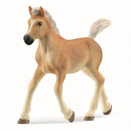 schleich HORSE CLUB Haflingerföl 13951