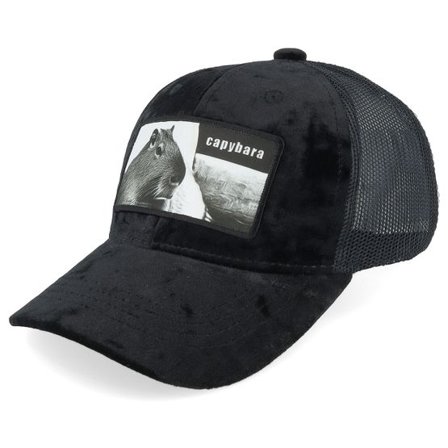 Calza Pennello - Svart trucker Keps - Kids Capybara Sofa Velvet Black Trucker @ Hatstore