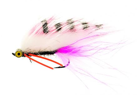 Zonky Pink/White TMC7989 # 6