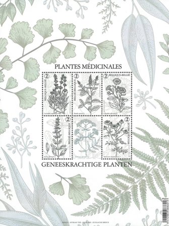 Belgien - Medicinske planter - Postfrisk miniark