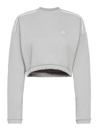 Crop Crew Sweatshirt W Sweatshirt Trøje Grå Adidas Performance