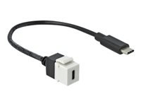 Delock Keystone module - USB type C-kabel - 24 pin USB-C til 24 pin USB-C - 25 cm
