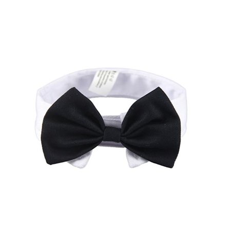 Pet butterfly sløjfe krave justerbar hund kat butterfly sløjfe kæledyr formel smoking