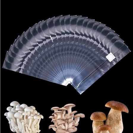 Svampedyrkningsposer, 25-pak, 25 x 50 cm, Rivestærke, Med Filter, Holdbare Poser, Til Svampedyrkning