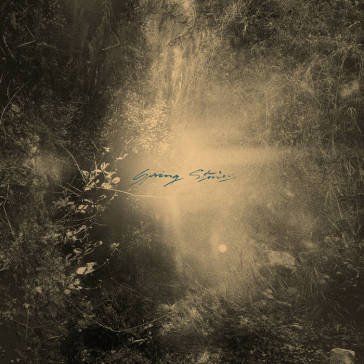 Spring stories Mondkopf