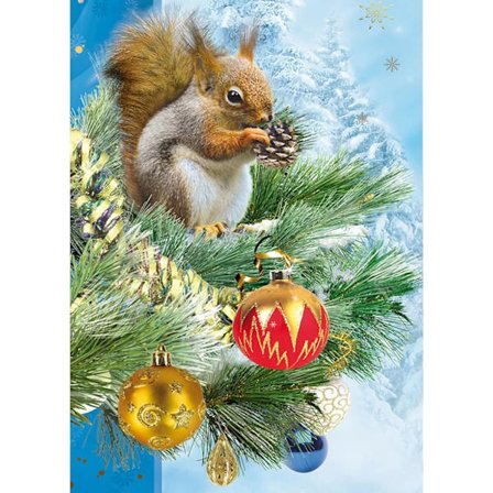 Jouluinen timanttimaalaussetti aikuisille, eläin, orava, pyöreä, täysi D