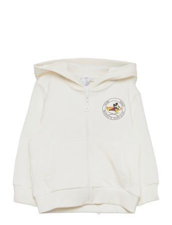 Mlogo White Mango