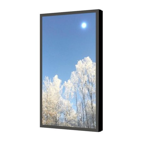 Hi-ND Wall Casing PROTECT 32" Portrait - monteringssett - for LCD-skjerm - svart, RAL 9005