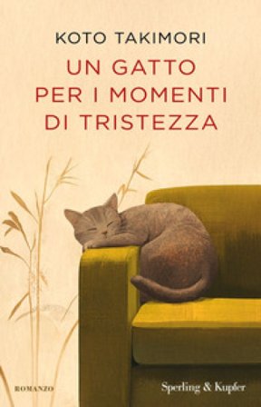 Un gatto per i momenti di tristezza Koto Takimori