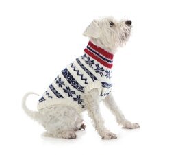 Beskrivning Hundtröja