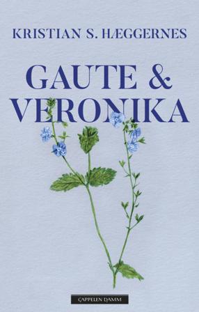 Gaute & Veronika - Bok av Kristian S. Hæggernes - Hardback