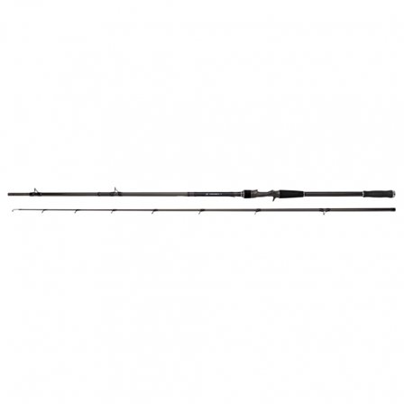 Daiwa Prorex AGS Casting 9'7'' 170g Big Water