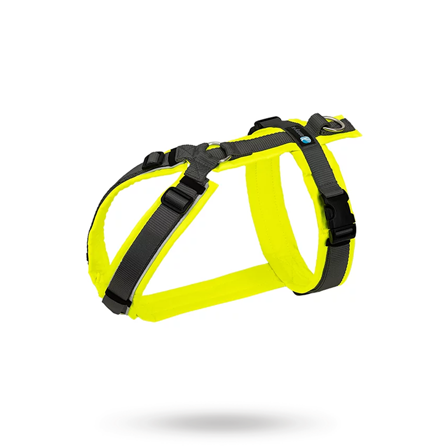 Anny-X - ANNY-X HUNDSELE PROTECT LUMINOUS GUL/GRÅ