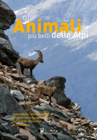Gli animali più belli delle Alpi. Mammiferi, uccelli, anfibi e rettili che si incontrano durante le escursioni in montagna. Ediz. a colori Pier Luigi 