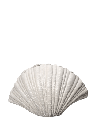 Byon Vas Shell Vaser Vit 31x19x21cm