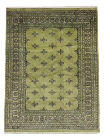 Bokhara 2Ply Rug Oriental (Wool, )