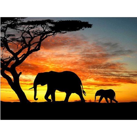 Diamantmaleri Firkantede perler 50x70 cm 5D DIY Dyreelefant