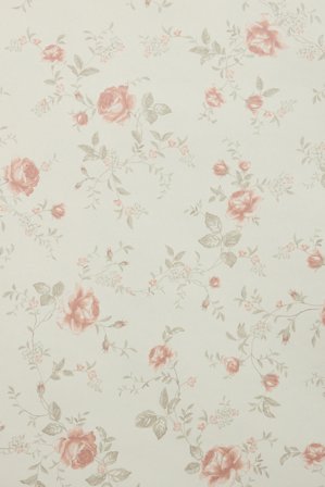 Newbie | Tapetti | Beige