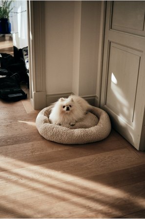 Jotex - Hundeseng/katteseng Beige - YOSHI - Kjøp Hundeseng/katteseng hos Jotex