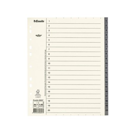 ESSELTE Pappregister System Servo A4+ 1-20 grå - Lyreco - Kontorsmaterial - Pärmar och register - Servoregister