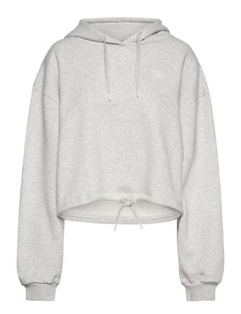 Enmonroe Ls Hoodie Logo 5346 Hoodie Grå Envii