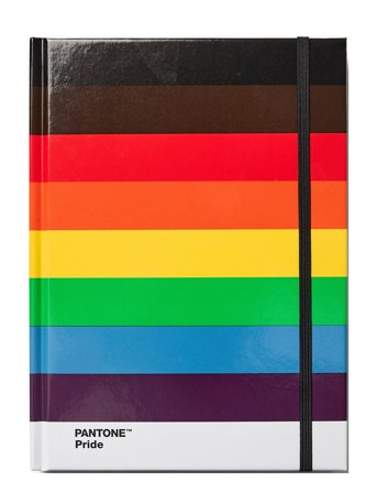 PANTONE | Pantone Notebook L Dotted | L