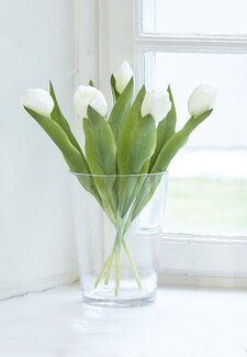 Konstväxt Tulpan 5-pack Vit - Mr Plant