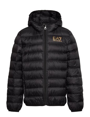 EA7 | Down Jacket | 14 A