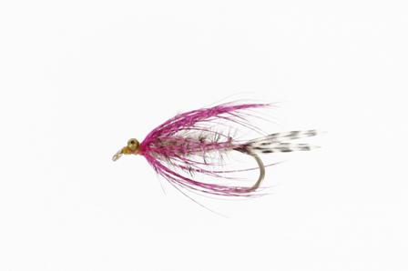 PolarMagnus UV Daiichi 1710 #6