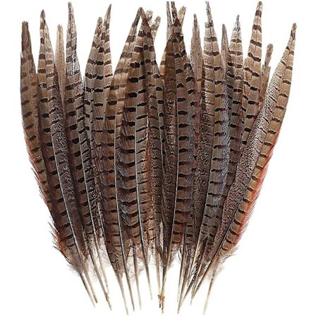30 st Naturliga Fasanfjädrar, gör-det-själv Fasantstjärtfjädrar, 15-28 cm Mjuk Naturlig Plymer För Hårhattar Hantverk Festdekoration, Naturlig Färg