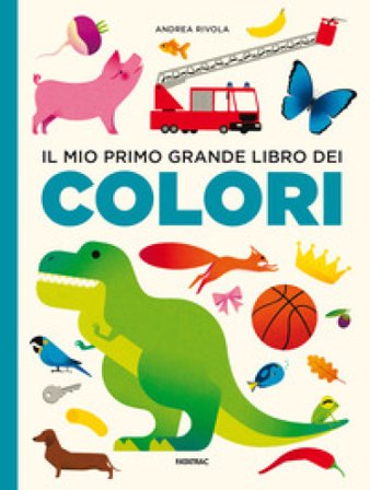 Il mio primo grande libro dei colori. Ediz. a colori Andrea Rivola