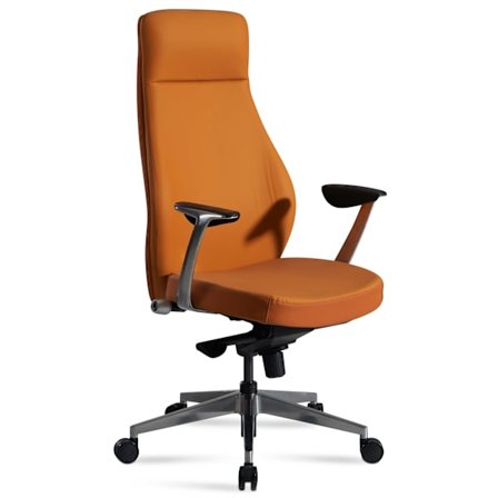 Rootz Executive Chair - Kontorstol - Ergonomisk stol - Højkvalitets polstring - Aluminiumsarmlæn - Justerbar sædehøjde - 119cm x 74cm x 74cm