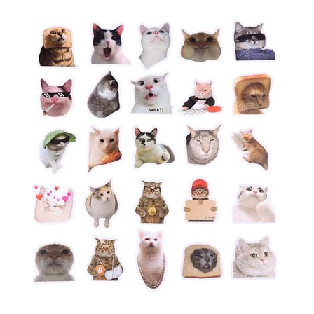 50 st och vattentäta roliga kattdekaler för bärbar dator med vattenflaska