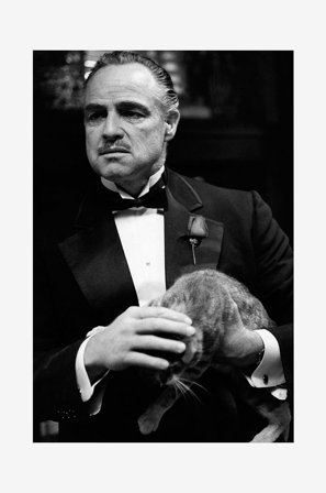 Malerifabrikken - Poster Marlon Brando 2 - Sort - Posters - Fra Homeroom