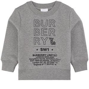 Kids - Burberry Gray Joel Sweatshirt 6 Years - Jumpers and knitwear - 6 years - Grey