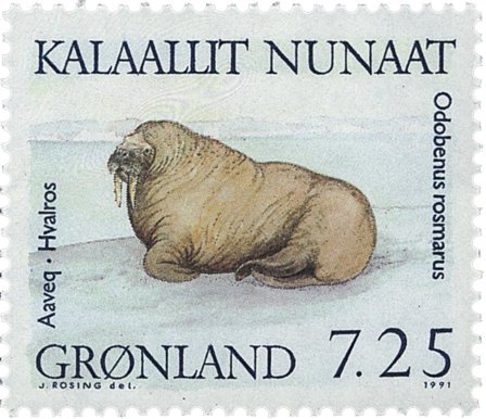 Grønland 1991 - AFA 214 - Postfrisk