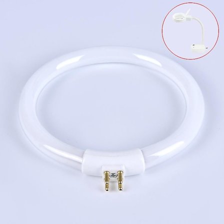 11w T4 Rund Ringformet Rør Lampe Pære Fluorescerende Ringlampe Rør Med 4 Pins