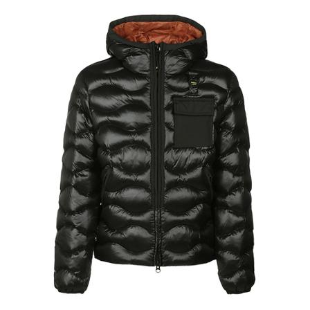 Blauer, Down Jackets Zwart, Heren, Maat:L