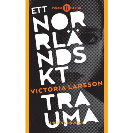 Ett norrländskt trauma 9789186905347