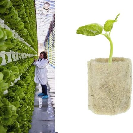 Rockwool Kuber (Runda), Rockwool Startpluggar, 50 st, Jordbruks Rockwool Kuber, Jordlös Odling, Stark W