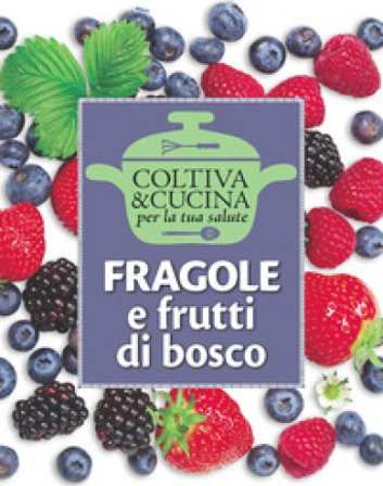 Fragole e frutti di bosco