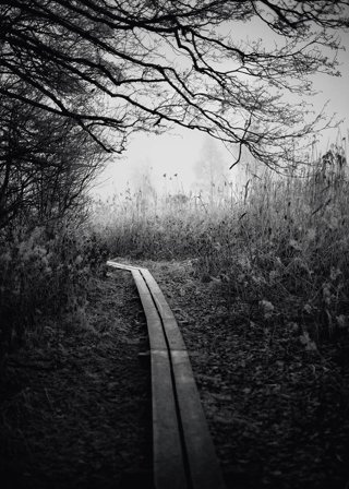 Storefactory Poster Early Walk 50x70