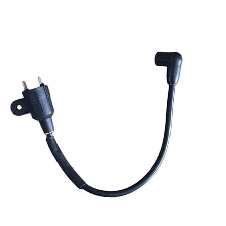 Et950 Et650 Tändspole för Generator Tg950 650 W 950 W 1000 W 1kw 2-takts 1e45 Generator Reservdelar